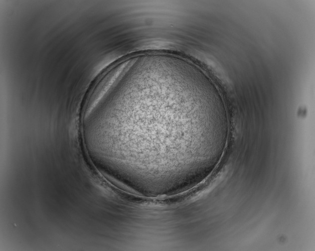 X0000102461073200808221614