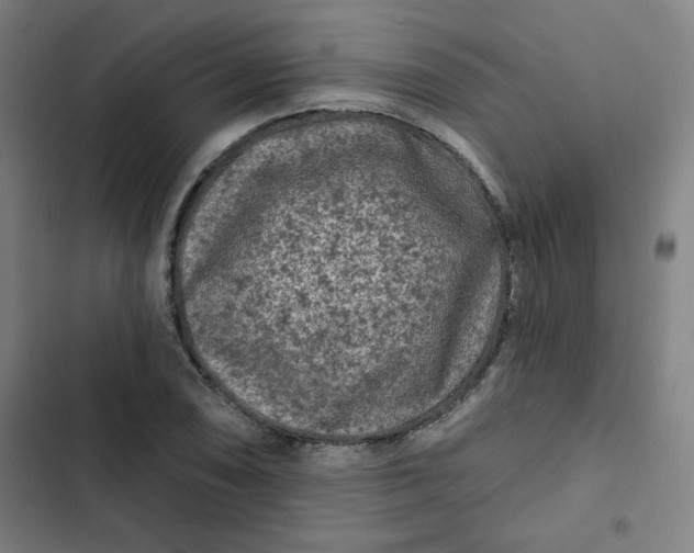 X0000102461074200808221614