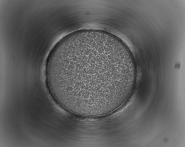 X0000102461075200808221614