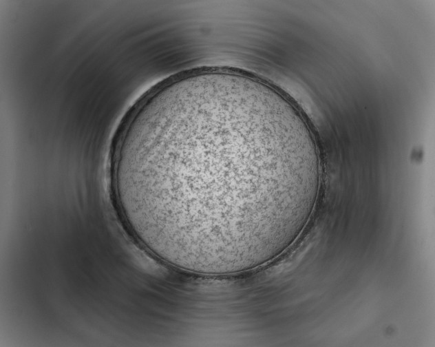 X0000102461076200808221614