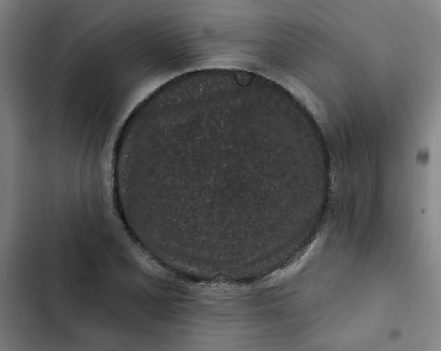 X0000102461077200808221614