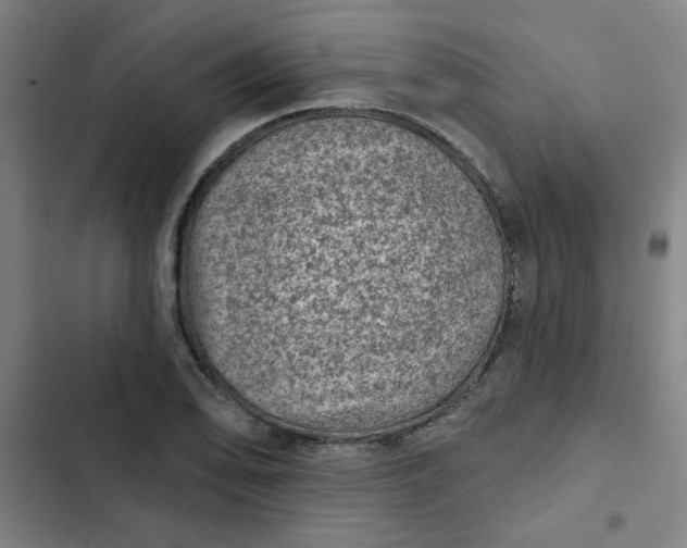 X0000102461078200808221613