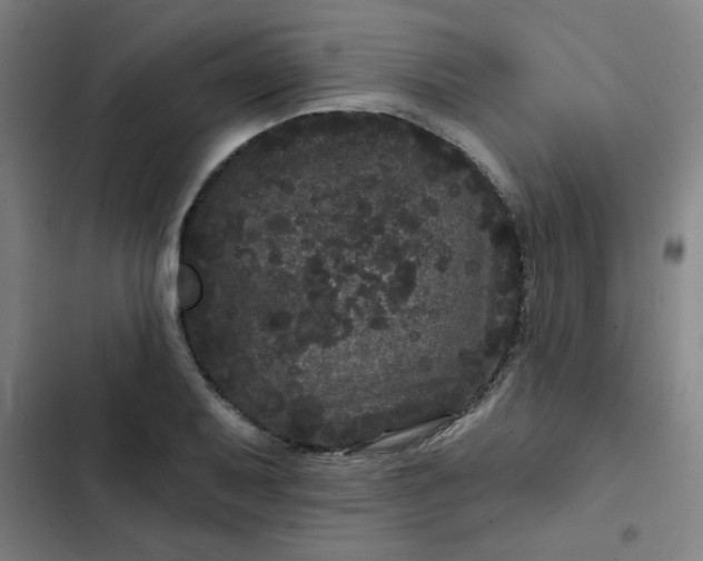 X0000102461079200808221613