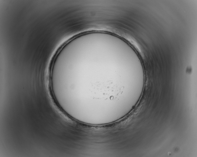 X0000102461080200808221613