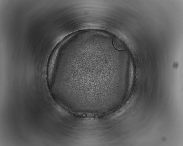 X0000102461081200808221613