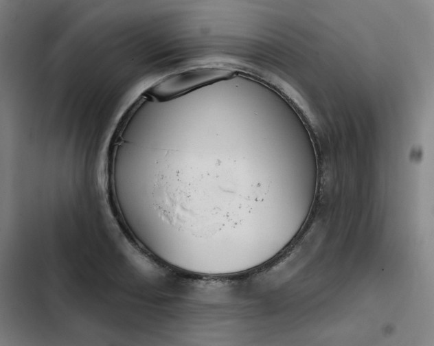 X0000102461082200808221613