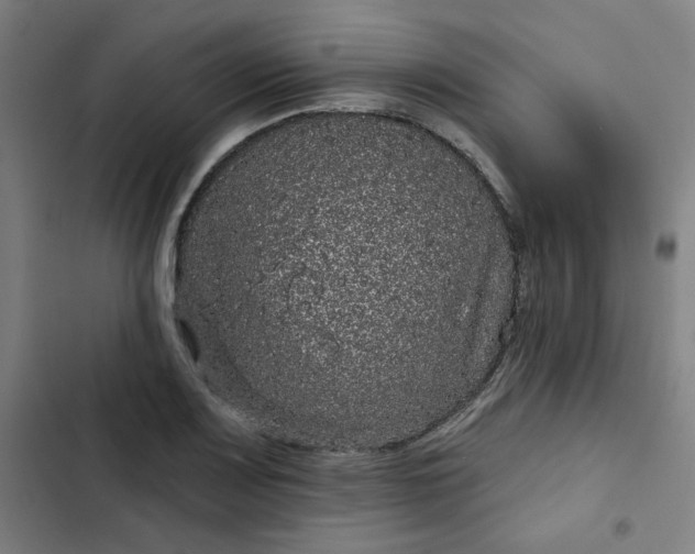 X0000102461083200808221613