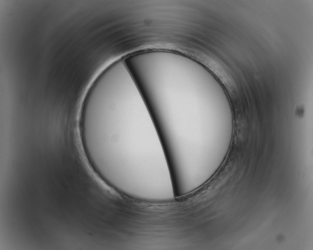 X0000102461084200808221613