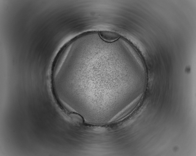 X0000102461085200808221613