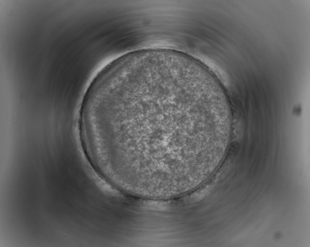 X0000102461086200808221613