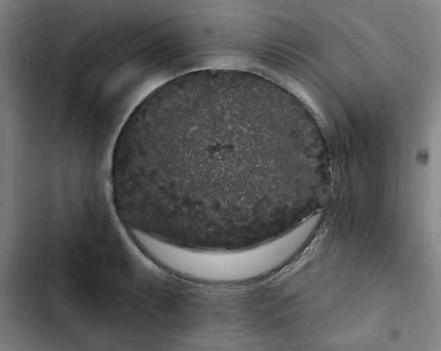 X0000102461087200808221613