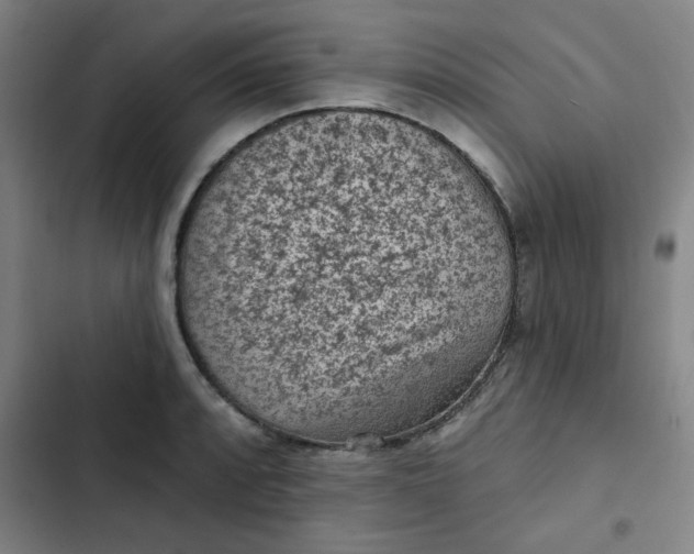 X0000102461088200808221613