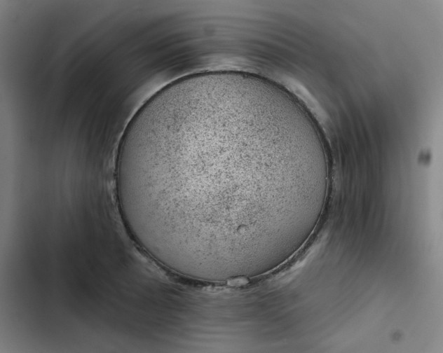 X0000102461089200808221613