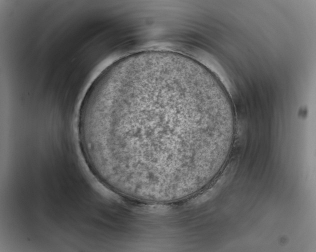 X0000102461090200808221613