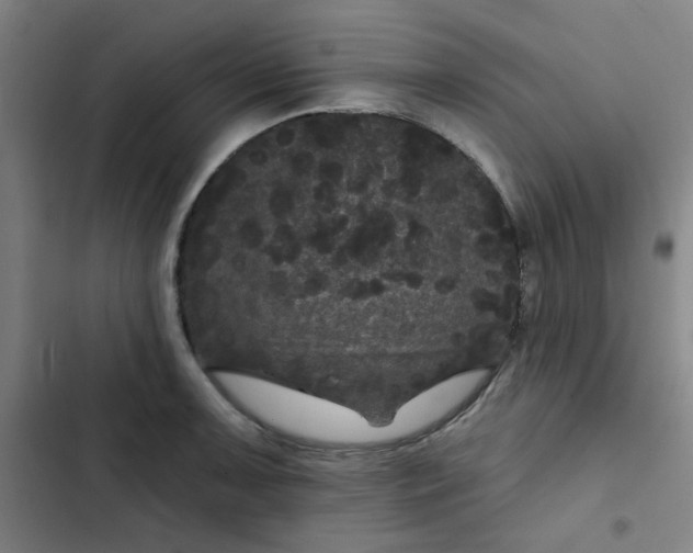 X0000102461091200808221613