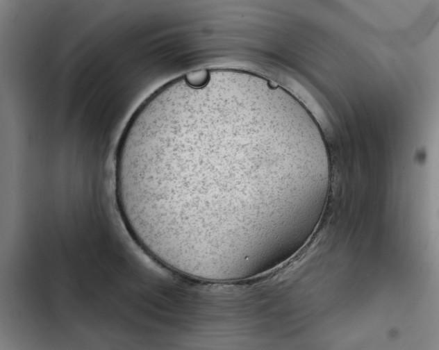 X0000102461092200808221613