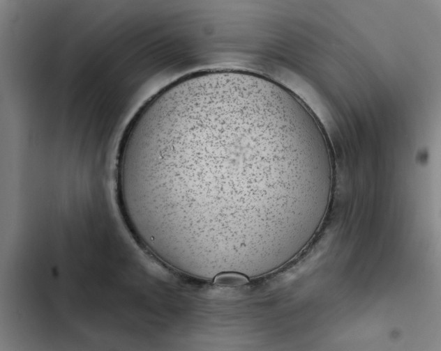 X0000102461093200808221613