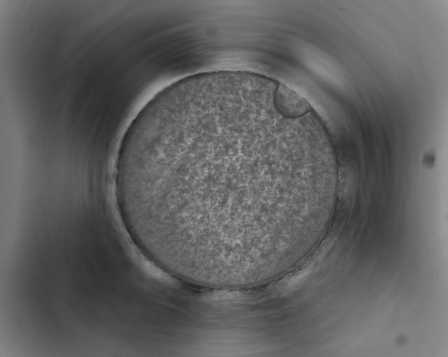 X0000102461094200808221613