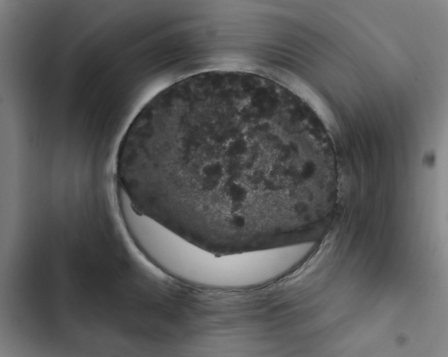 X0000102461095200808221613