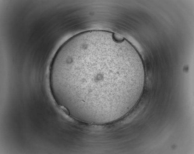 X0000102461096200808221613