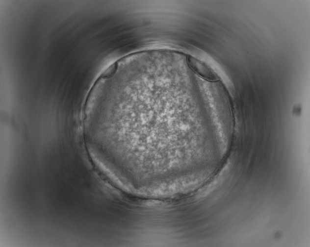 X0000102461097200808221613