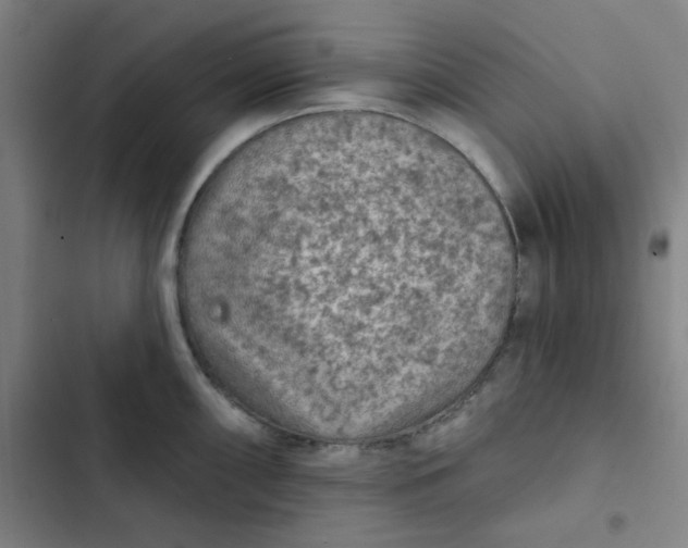 X0000102461098200808221613