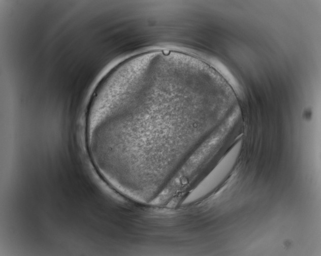 X0000102461100200808221613