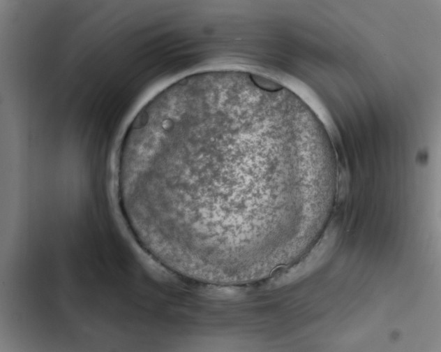 X0000102461101200808221613