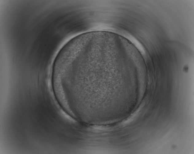 X0000102461102200808221613