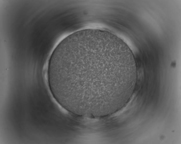 X0000102461103200808221613