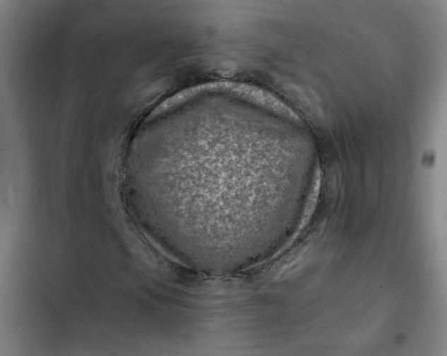 X0000102461105200808221612