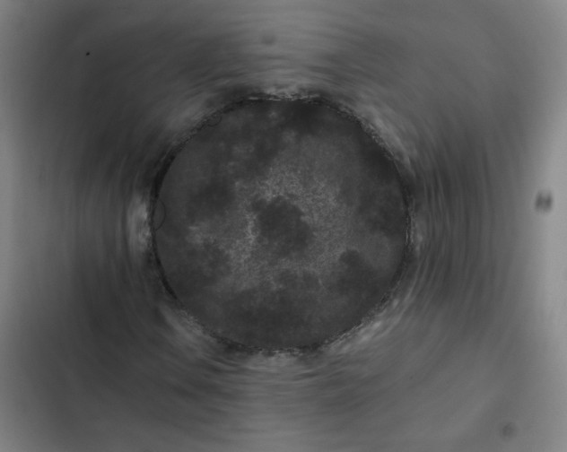 X0000102461106200808221612