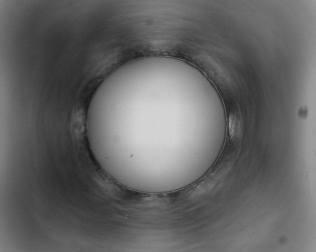 X0000102461107200808221612