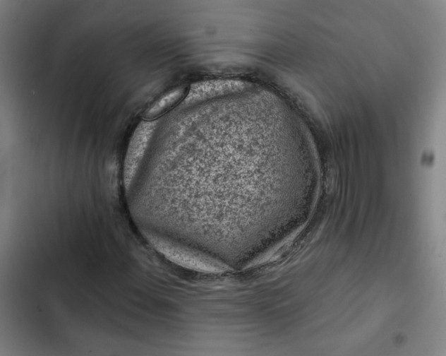 X0000102461108200808221612