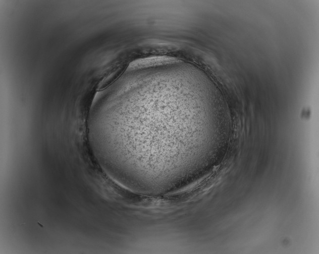 X0000102461109200808221612