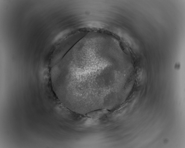 X0000102461110200808221612