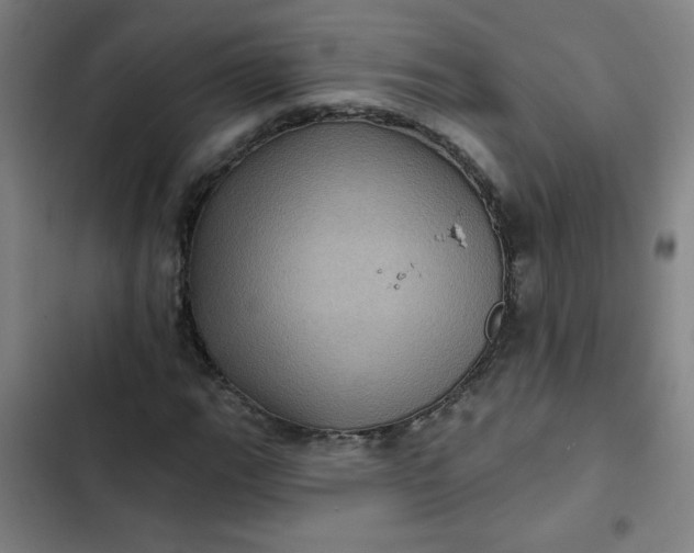 X0000102461111200808221612