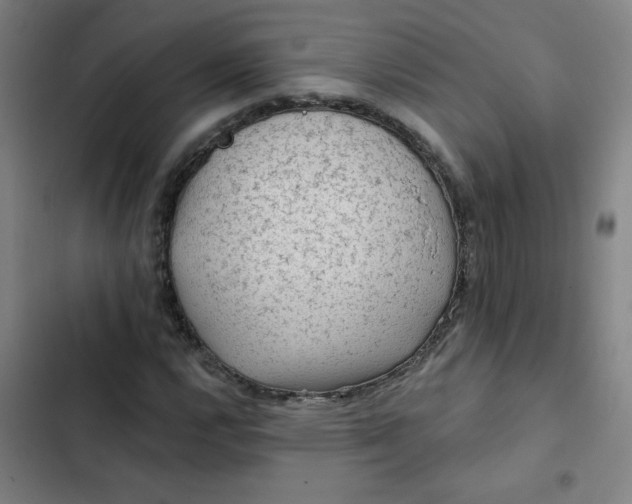 X0000102461112200808221612