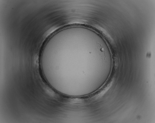 X0000102461113200808221612