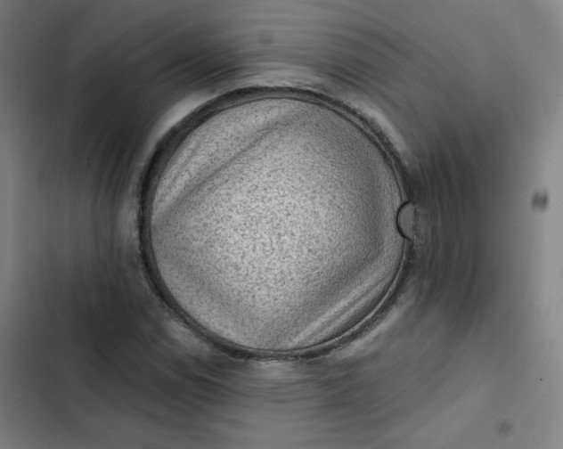 X0000102461114200808221612