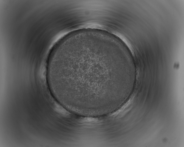 X0000102461115200808221612