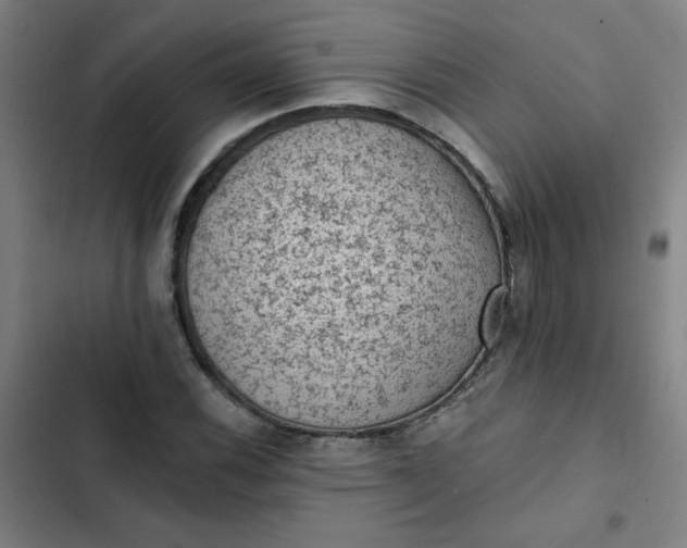 X0000102461116200808221612