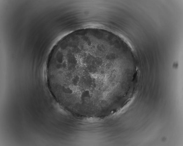 X0000102461117200808221612