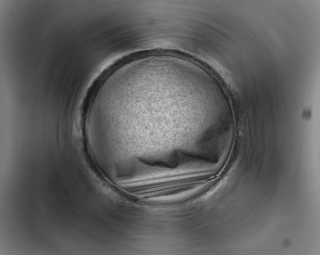 X0000102461118200808221612