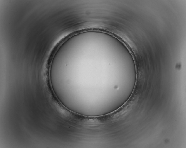 X0000102461119200808221612