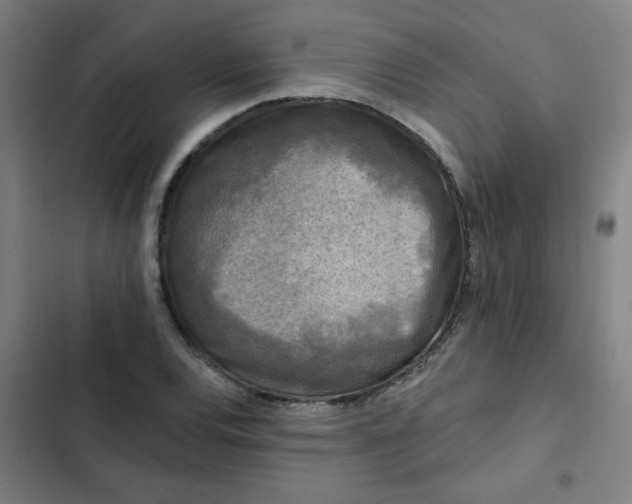 X0000102461120200808221612