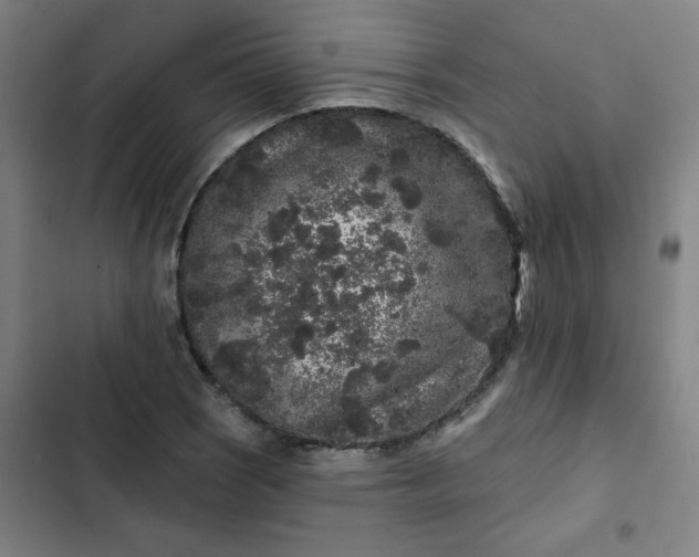 X0000102461121200808221612