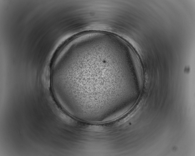 X0000102461123200808221612