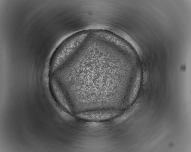 X0000102461124200808221612