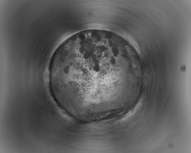 X0000102461125200808221613